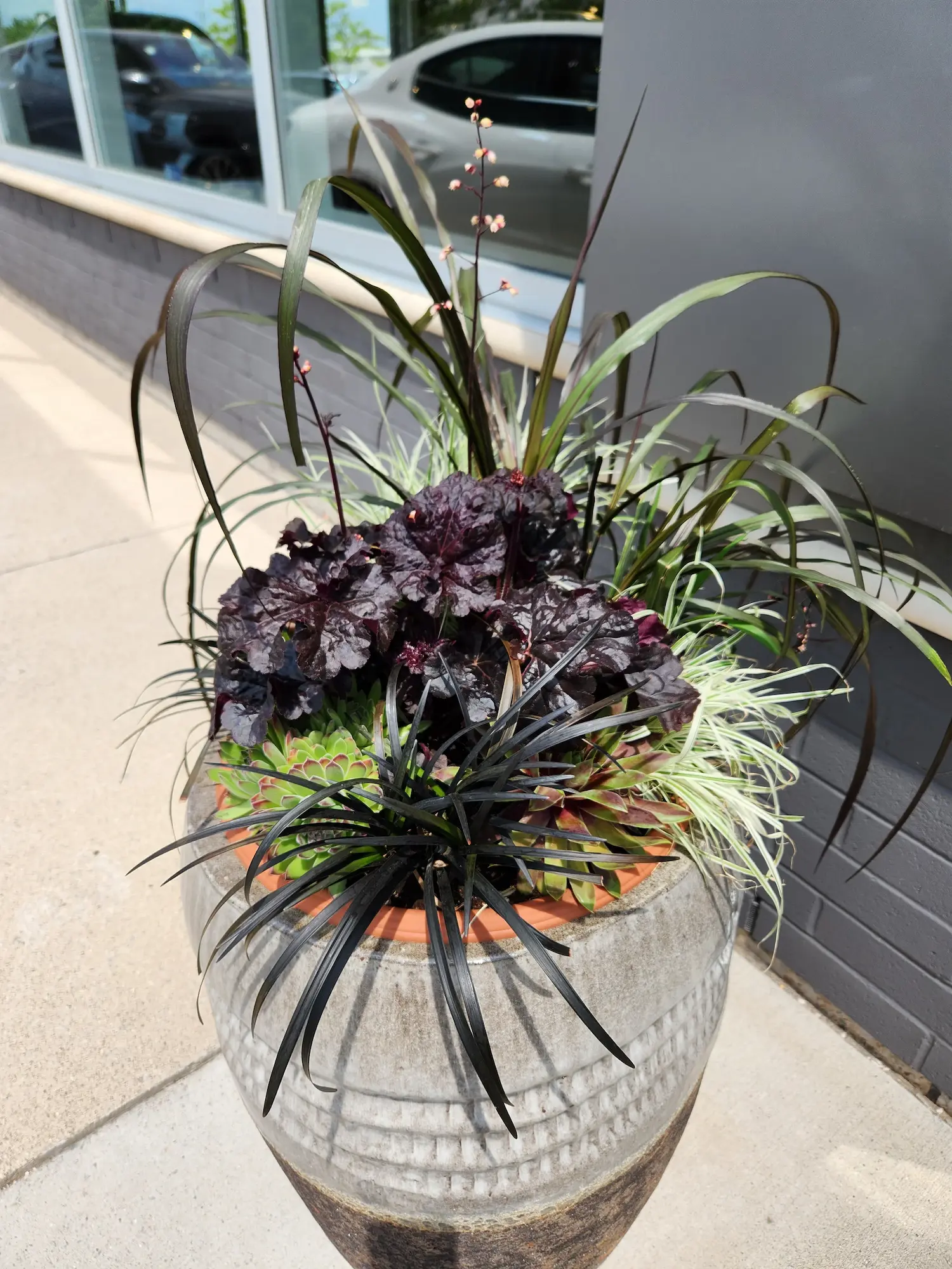 Fall Design 2