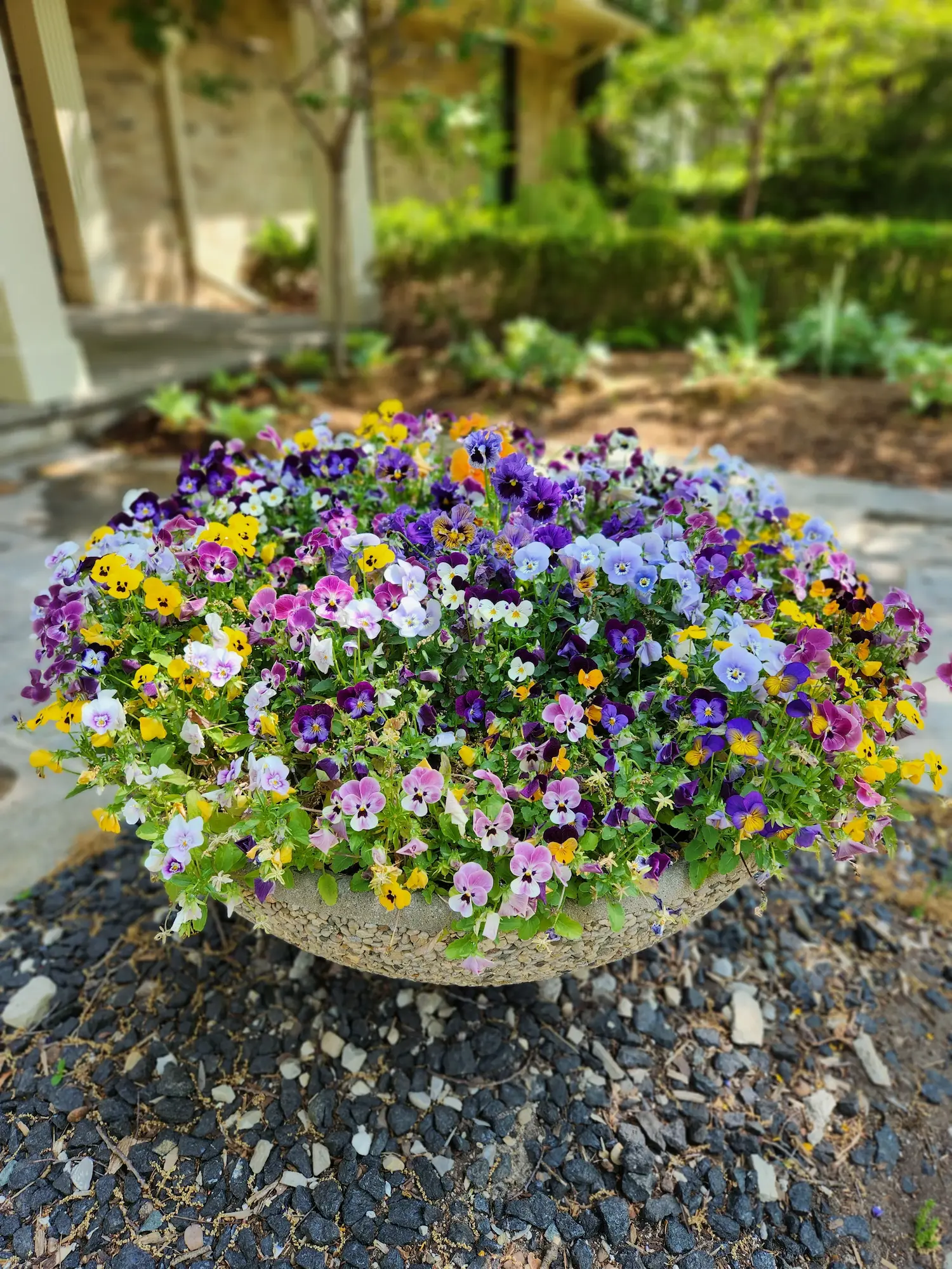 Spring Design 2