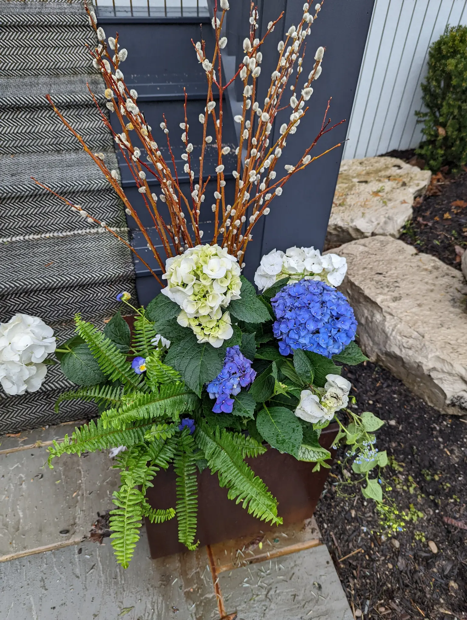 Spring Design 3