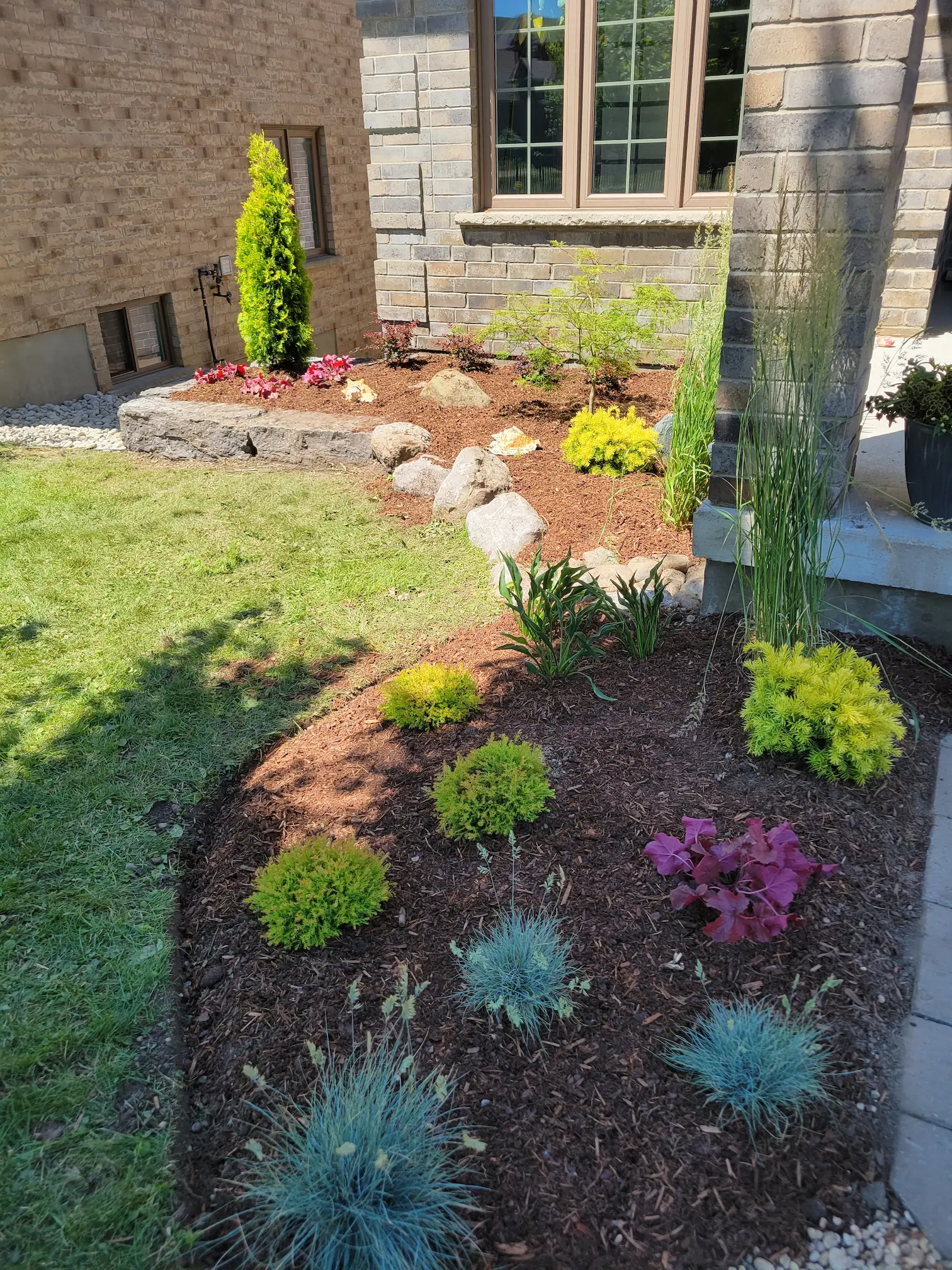 Softscape project 5 